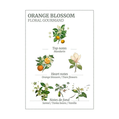 Orange Blossom Hand Cream 75ml - Panier des Sens