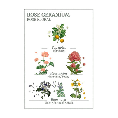 Rose Geranium Marseille Liquid Soap - Panier des Sens