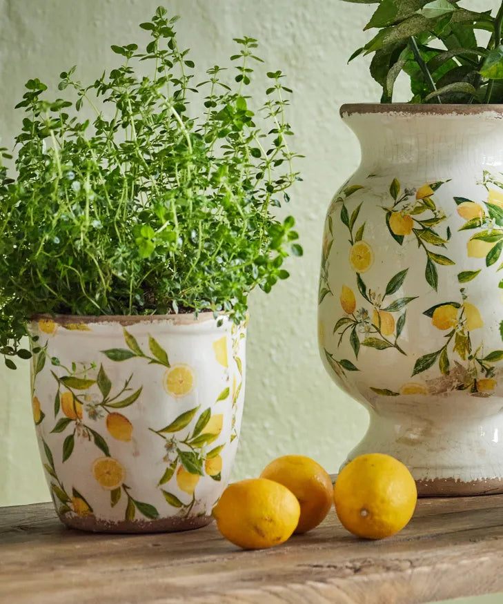 Botanical Lemon Pot