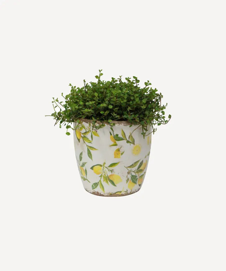 Botanical Lemon Pot