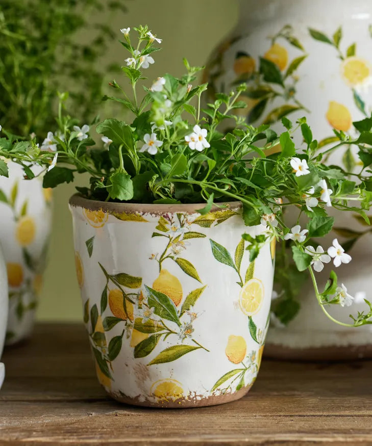 Botanical Lemon Pot