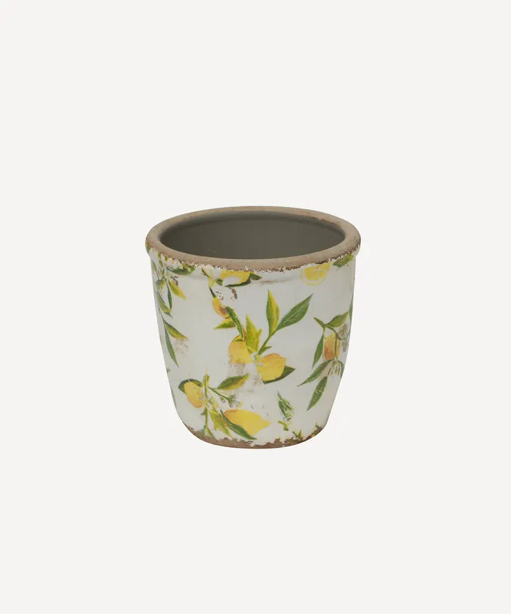 Botanical Lemon Pot