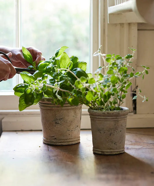 Gris Planter