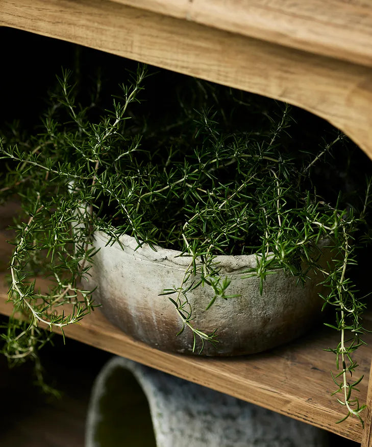 Marron Planter Bowl