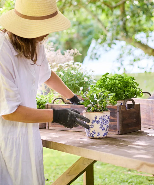 Blue Floral Herb Pot